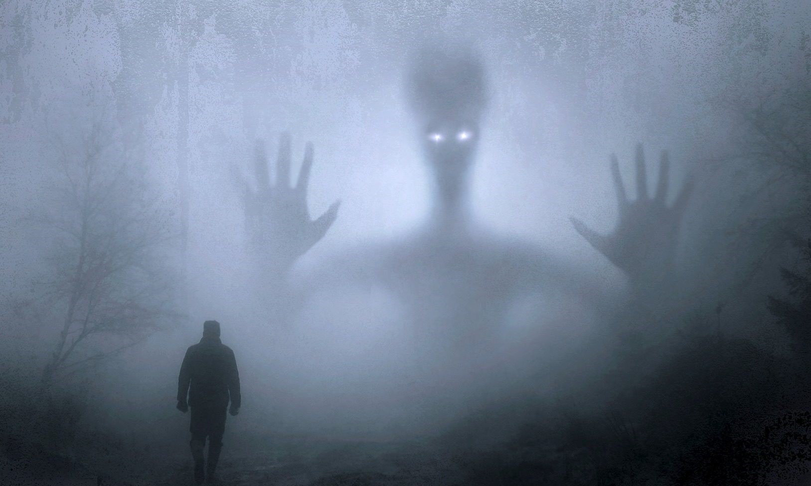 Foto von einem Monster im Nebel